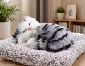 Soft Sleeping Kitty Hidden Voice Toy and decor dashboard.