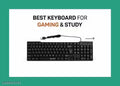 Keyboard For Gaming,Office & Study Purpose
