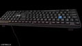 EVM WDK 216 Wired Keyboard Black